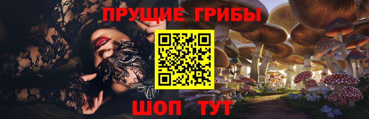 Кулебаки  дарнет шоп  Вход с VPN  Галлюциногенные грибы MAGIC MUSHROOMS 